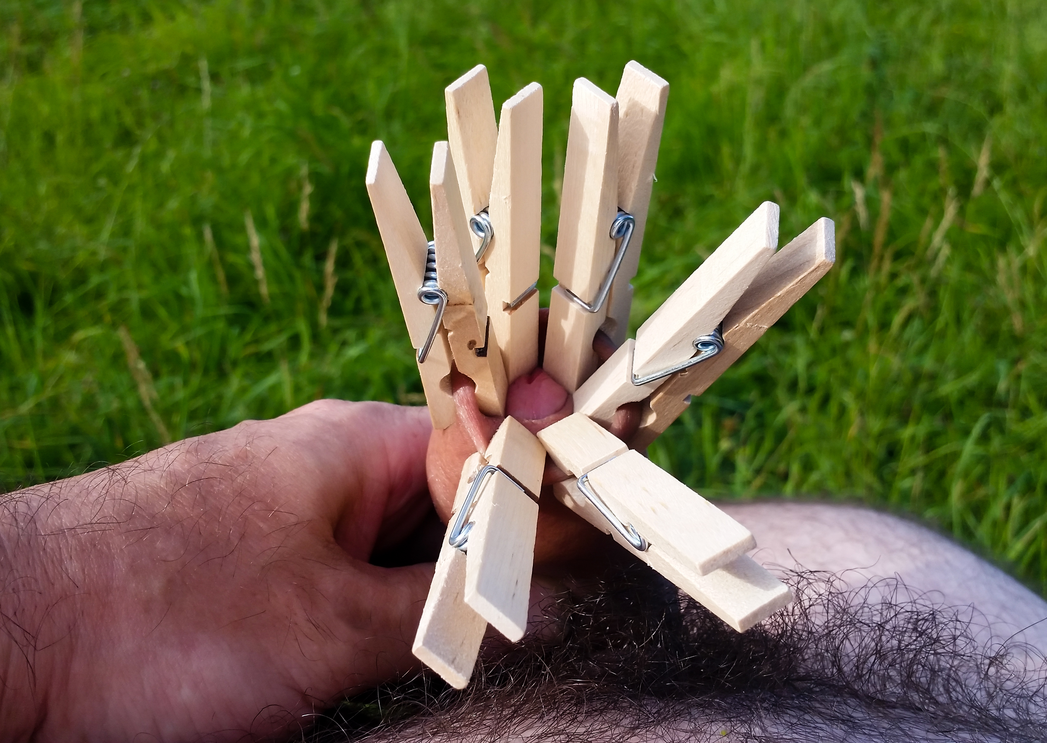 My foreskin with clothes pins
