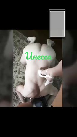 У Госпожи Инессы