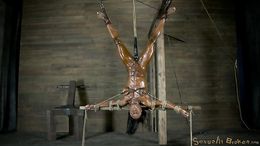 Athletic ebony forced to suck a big white boner