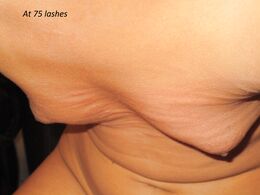 100 lashes with others watching