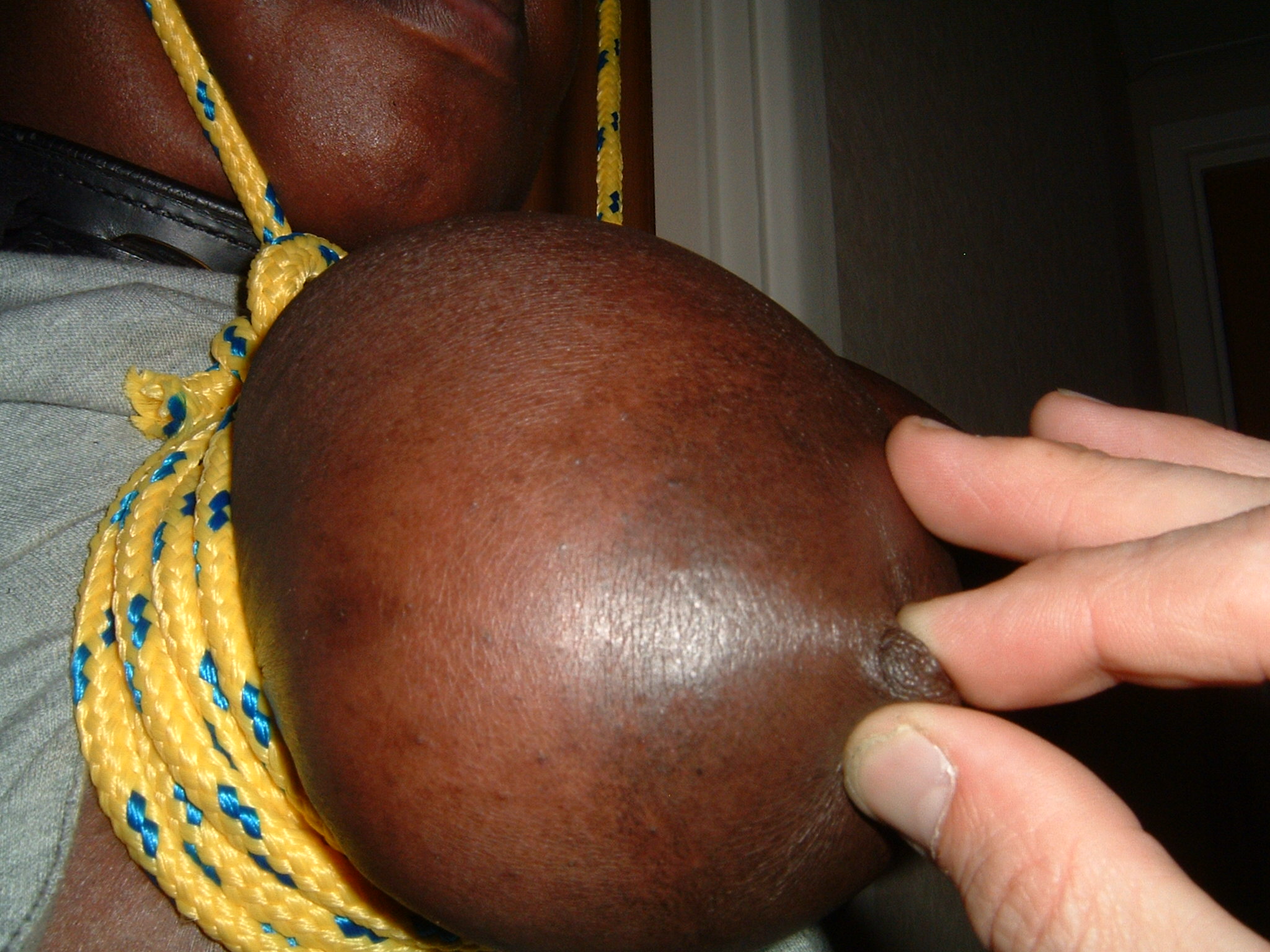 rifran black tied tits 03
