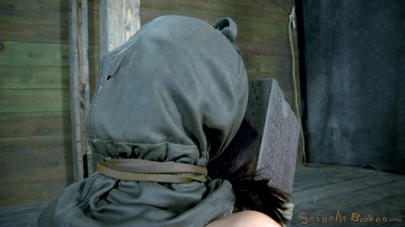 Horny bitches are getting bound and dominated