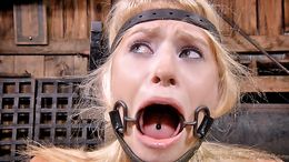 Cute blonde slut submissively sucks a massive sausage