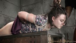 Teen in purple dress orally pleased her black master