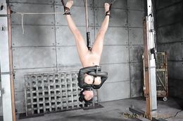 Dark-haired Asian hangs upside down in leather straitjacket