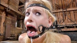 Cute blonde slut submissively sucks a massive sausage